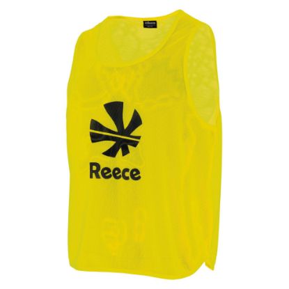 Afbeeldingen van Team Mesh Hesje 